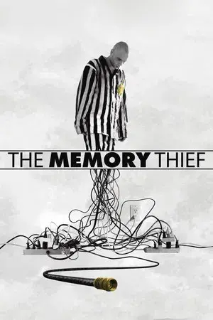 The Memory Thief
