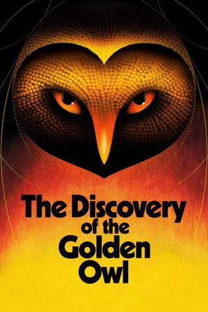 Finding The Golden Owl