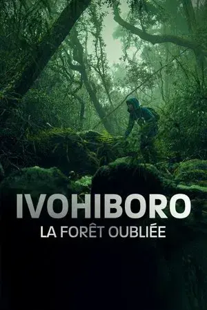 Ivohiboro, la forêt oubliée