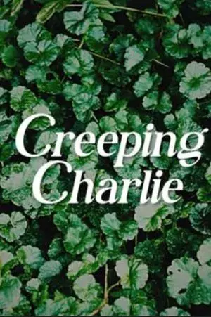 Creeping Charlie