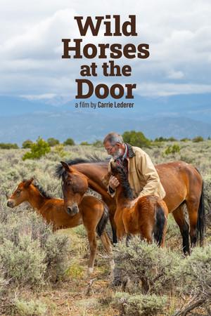 Wild Horses at the Door