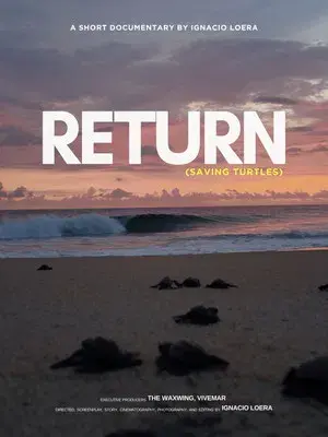 Return: Saving turtles