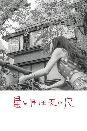 The Stars and the Moon are Holes in the Sky