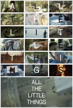All the Little Things
