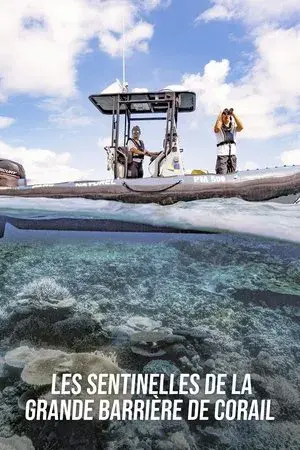 Les sentinelles de la Grande Barrière de Corail