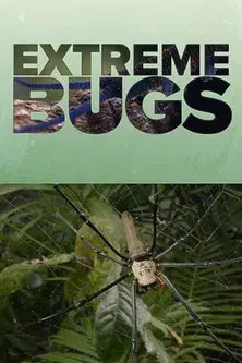 Extreme Bugs