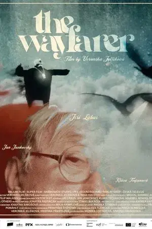 The Wayfarer