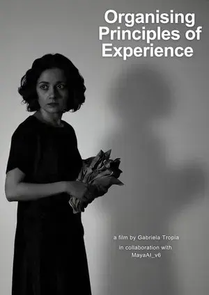 Organising Principles of Experience