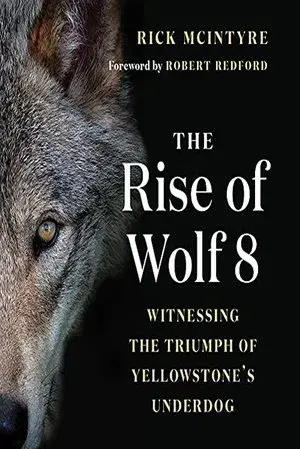 The Alpha Wolves of Yellowstone