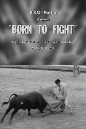 Born to Fight